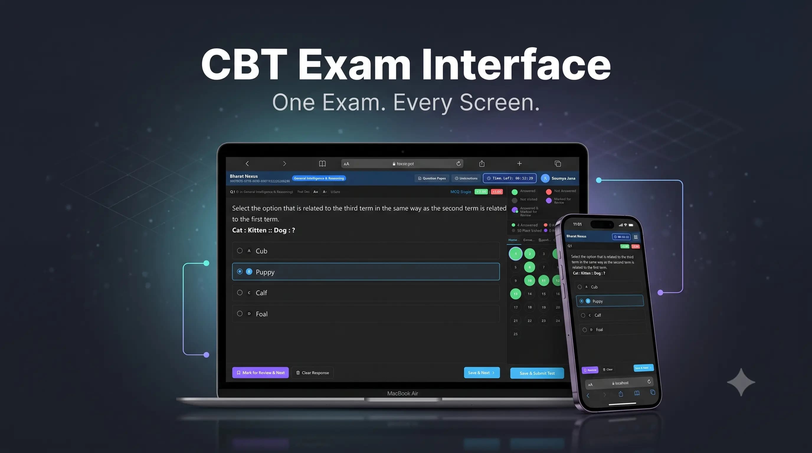 Computer-based test interface with a government-style question palette and live timer